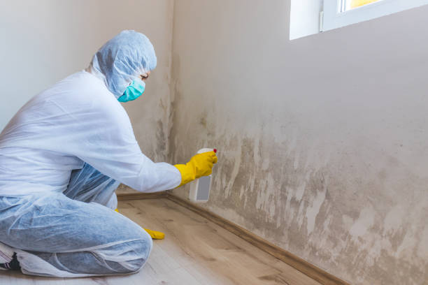 Best Airborne Mold Testing  in Montezuma, GA