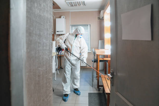 Best Mold Removal for HVAC Installations  in Montezuma, GA