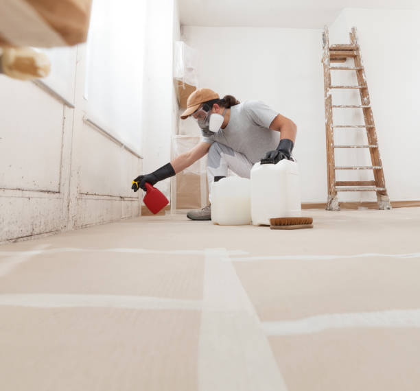 Best Residential Mold Inspection & Testing  in Montezuma, GA